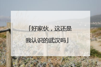 好家伙，这还是我认识的武汉吗