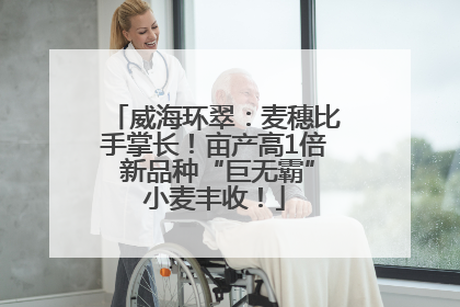 威海环翠：麦穗比手掌长！亩产高1倍 新品种“巨无霸”小麦丰收！