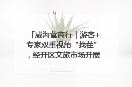 威海营商行｜游客+专家双重视角“找茬”，经开区文旅市场开展暑期前“体检”