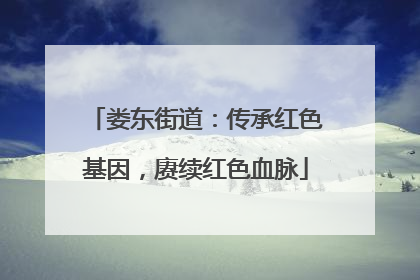 娄东街道：传承红色基因，赓续红色血脉