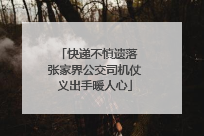 快递不慎遗落 张家界公交司机仗义出手暖人心