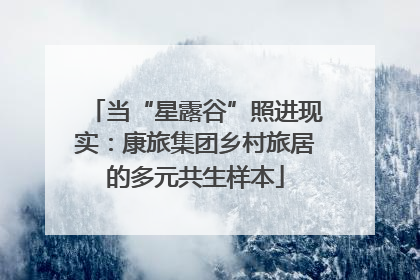 当“星露谷”照进现实：康旅集团乡村旅居的多元共生样本