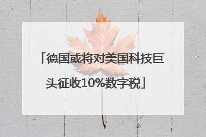 德国或将对美国科技巨头征收10%数字税