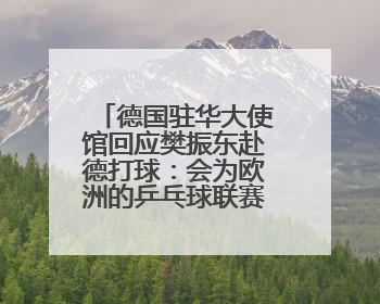 德国驻华大使馆回应樊振东赴德打球：会为欧洲的乒乓球联赛带来新的光彩