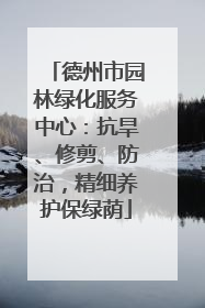 德州市园林绿化服务中心：抗旱、修剪、防治，精细养护保绿荫