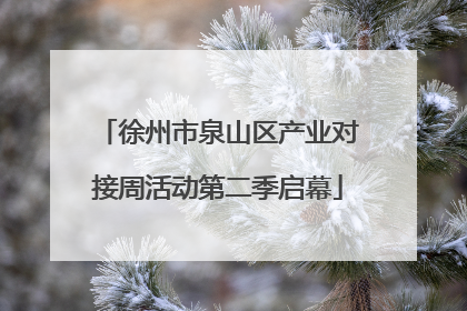 徐州市泉山区产业对接周活动第二季启幕