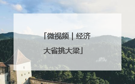 微视频｜经济大省挑大梁