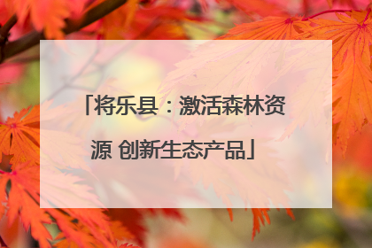 将乐县：激活森林资源 创新生态产品