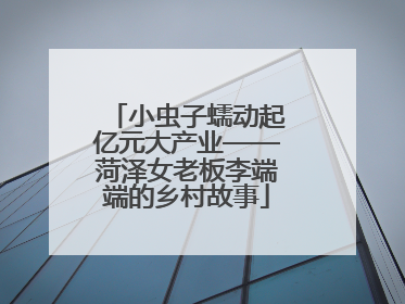 小虫子蠕动起亿元大产业——菏泽女老板李端端的乡村故事