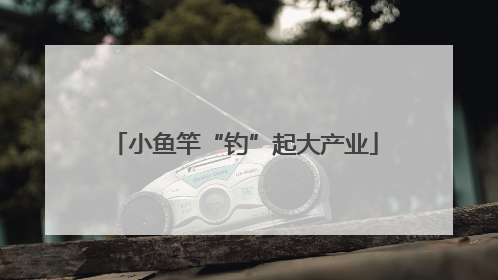 小鱼竿“钓”起大产业