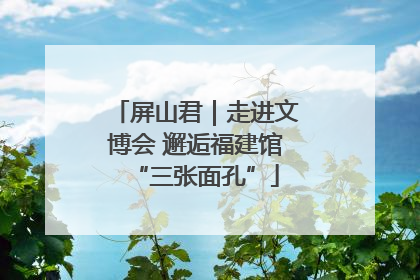 屏山君｜走进文博会 邂逅福建馆“三张面孔”