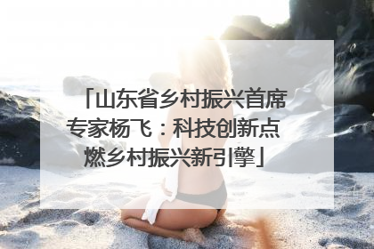 山东省乡村振兴首席专家杨飞：科技创新点燃乡村振兴新引擎