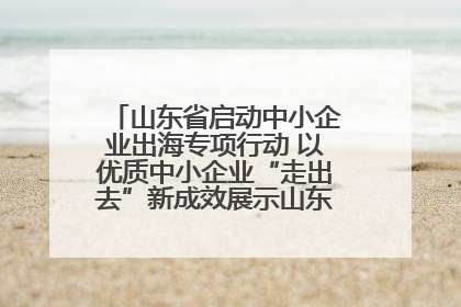 山东省启动中小企业出海专项行动 以优质中小企业“走出去”新成效展示山东产业发展新形象
