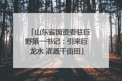 山东省国资委驻巨野第一书记：引来巨龙水 灌溉千亩田