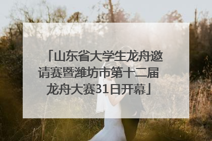 山东省大学生龙舟邀请赛暨潍坊市第十二届龙舟大赛31日开幕