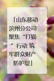 山东移动滨州分公司聚焦“打猫”行动 筑牢群众财产防护堤