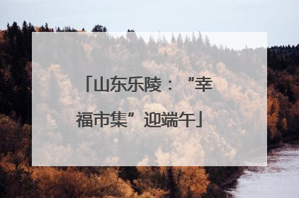 山东乐陵：“幸福市集”迎端午