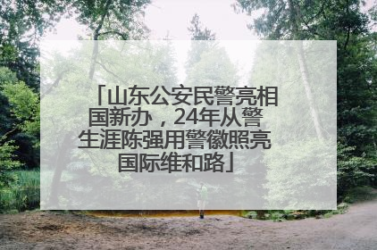 山东公安民警亮相国新办，24年从警生涯陈强用警徽照亮国际维和路