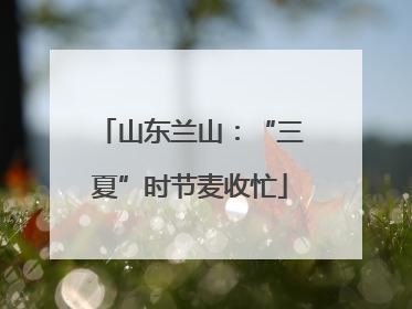 山东兰山：“三夏”时节麦收忙