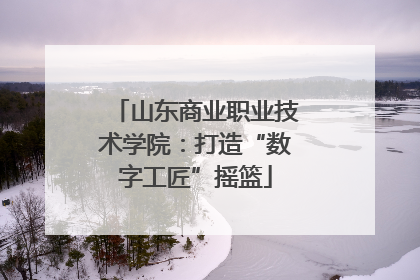 山东商业职业技术学院：打造“数字工匠”摇篮