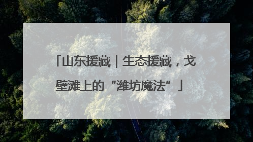 山东援藏｜生态援藏，戈壁滩上的“潍坊魔法”