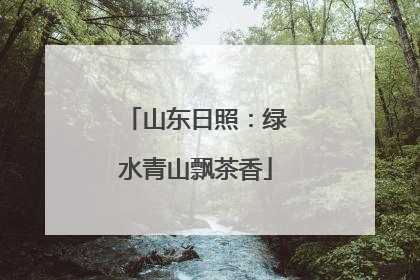 山东日照：绿水青山飘茶香