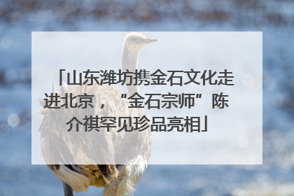 山东潍坊携金石文化走进北京，“金石宗师”陈介祺罕见珍品亮相