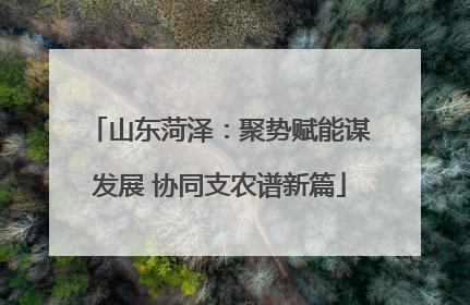 山东菏泽：聚势赋能谋发展 协同支农谱新篇