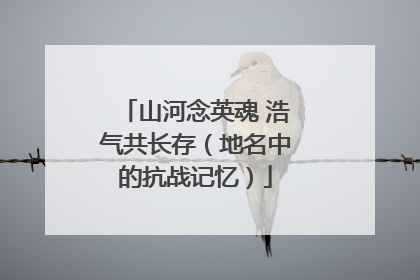 山河念英魂 浩气共长存（地名中的抗战记忆）
