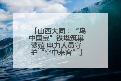 山西大同：“鸟中国宝”铁塔筑巢繁殖 电力人员守护“空中来客”