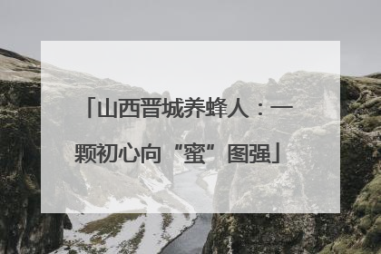 山西晋城养蜂人：一颗初心向“蜜”图强
