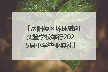 岳阳楼区环球融创实验学校举行2025届小学毕业典礼