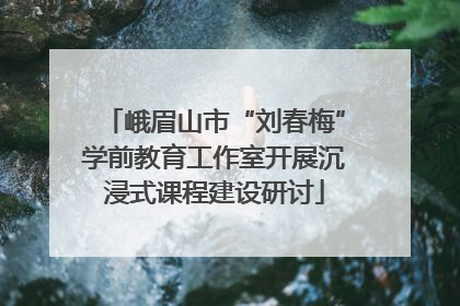 峨眉山市“刘春梅”学前教育工作室开展沉浸式课程建设研讨