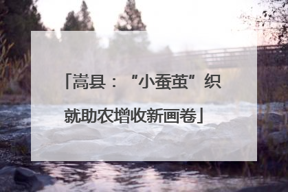 嵩县：“小蚕茧”织就助农增收新画卷