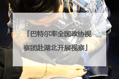 巴特尔率全国政协视察团赴湖北开展视察