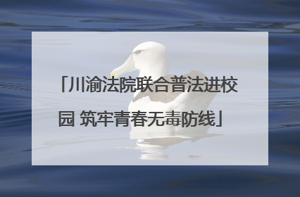 川渝法院联合普法进校园 筑牢青春无毒防线