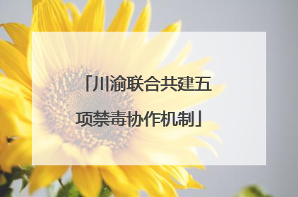 川渝联合共建五项禁毒协作机制