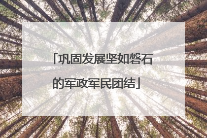 巩固发展坚如磐石的军政军民团结