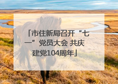市住新局召开“七一”党员大会 共庆建党104周年