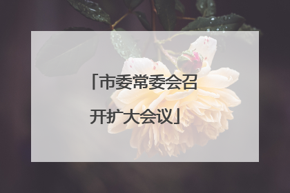 市委常委会召开扩大会议