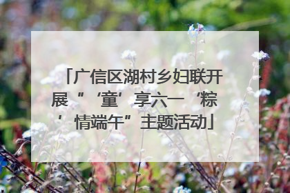 广信区湖村乡妇联开展“‘童’享六一‘粽’情端午”主题活动