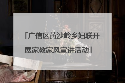 广信区黄沙岭乡妇联开展家教家风宣讲活动