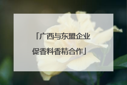 广西与东盟企业促香料香精合作