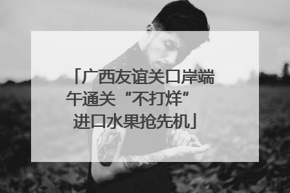 广西友谊关口岸端午通关“不打烊” 进口水果抢先机