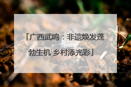 广西武鸣：非遗焕发蓬勃生机 乡村添光彩
