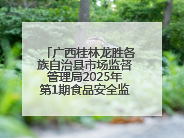 广西桂林龙胜各族自治县市场监督管理局2025年第1期食品安全监督抽检信息公告