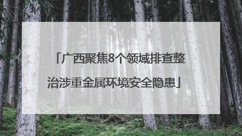 广西聚焦8个领域排查整治涉重金属环境安全隐患