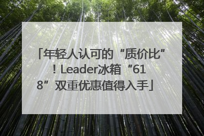 年轻人认可的“质价比”！Leader冰箱“618”双重优惠值得入手