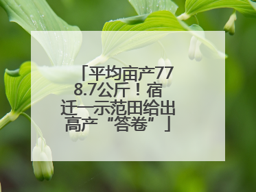 平均亩产778.7公斤！宿迁一示范田给出高产“答卷”