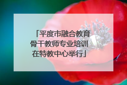 平度市融合教育骨干教师专业培训在特教中心举行